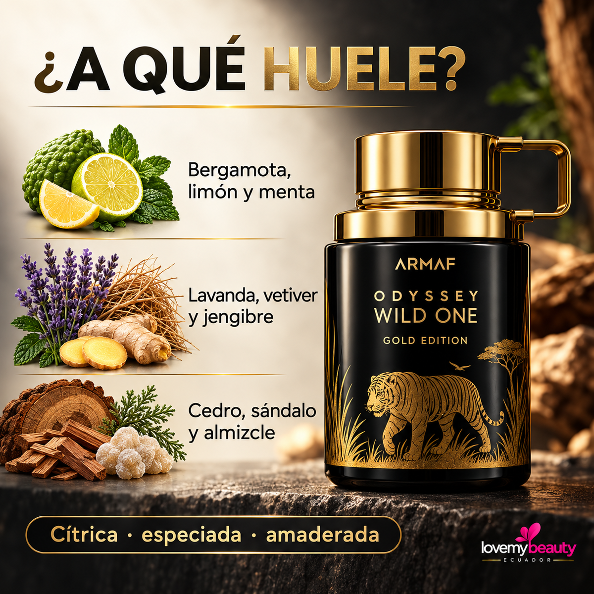 Armaf Odyssey Wild One 100ml para Hombre