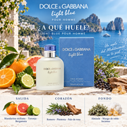 Dolce & Gabbana Light Blue para Hombre
