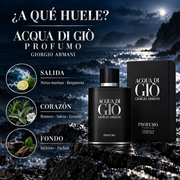 Giorgio Armani Acqua di Giò Profumo para Hombre
